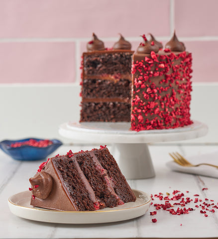 Vegan and Gluten Free Fudge Nationwide Cake