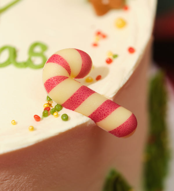 Christmas Gingerbread House Cake