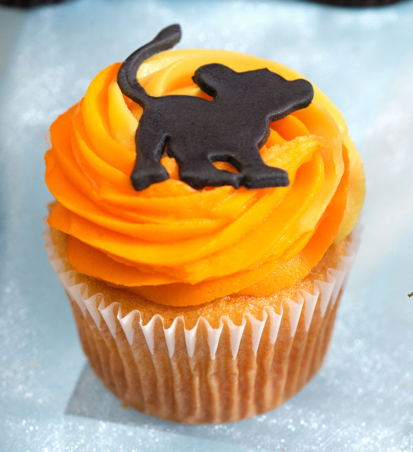 Disney Lion King Themed Cupcake Box