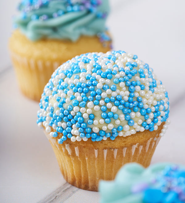 Blue Mini Cupcake Box