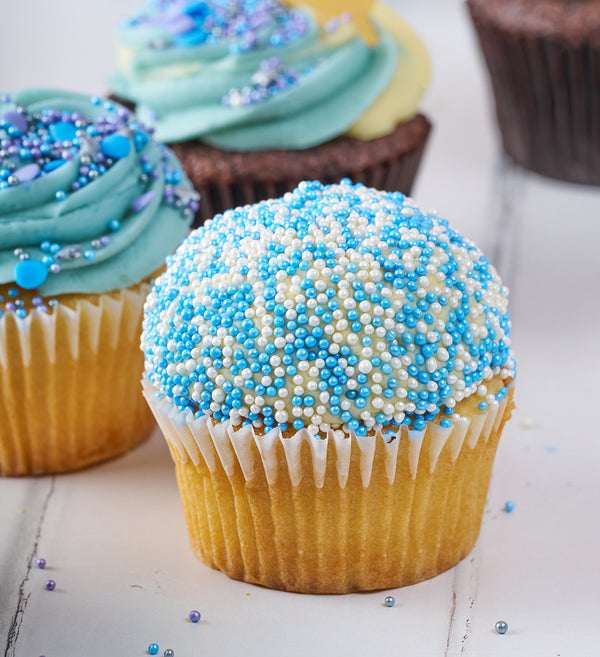 Blue Cupcake Box