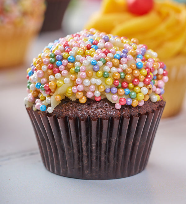 Rainbow Mini Cupcake Box