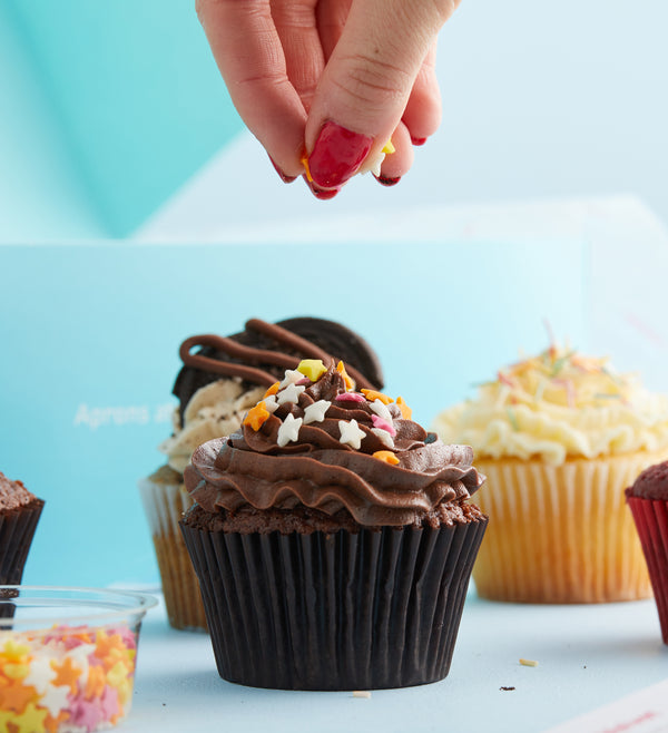 Mixed Cupcake Decorating Kit