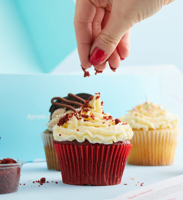 Mixed Cupcake Decorating Kit