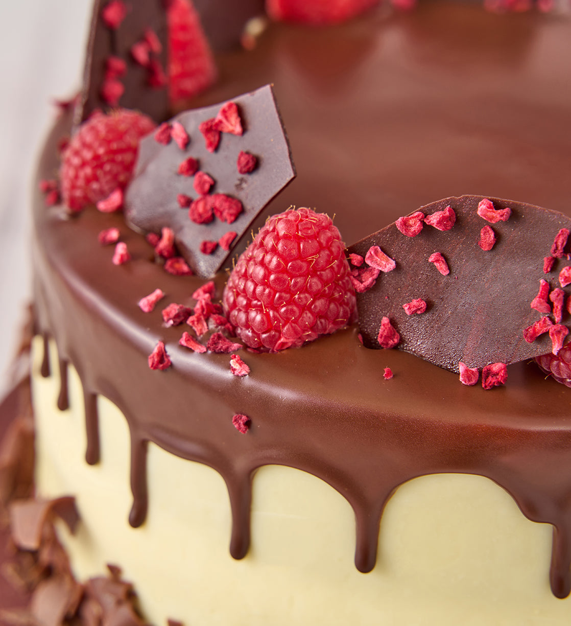 Chocolate and Raspberry Cake