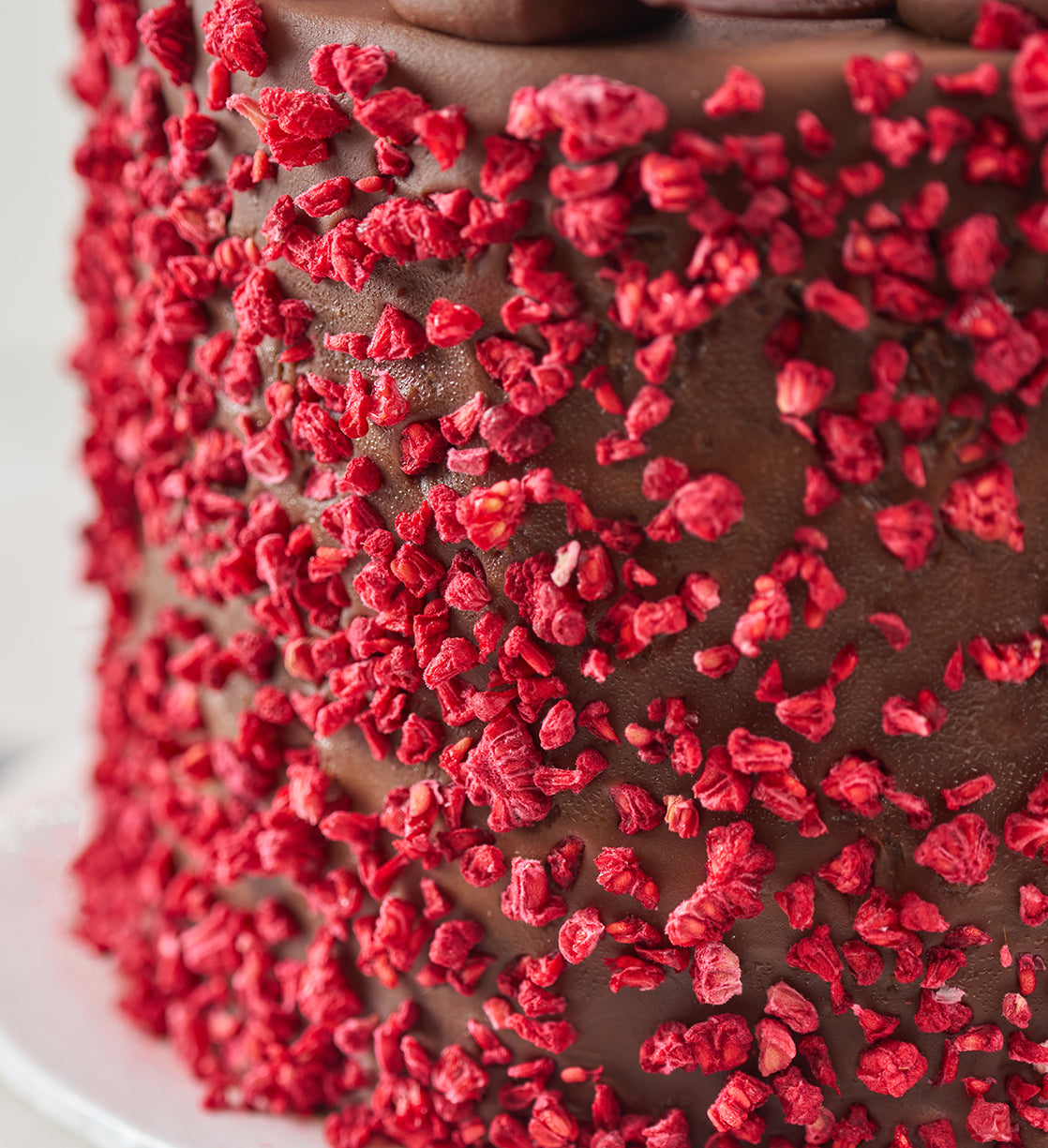 Vegan and Gluten Free Fudge Nationwide Cake