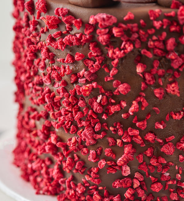 Vegan and Gluten Free Fudge Nationwide Cake