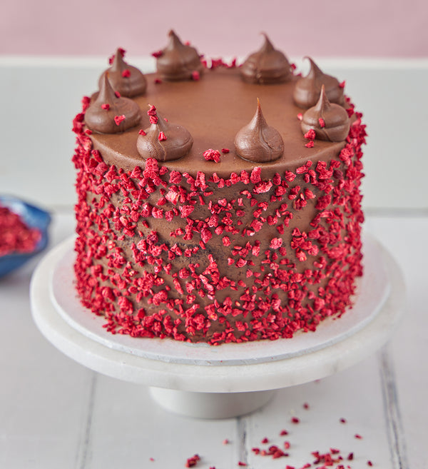 Vegan and Gluten Free Fudge Nationwide Cake