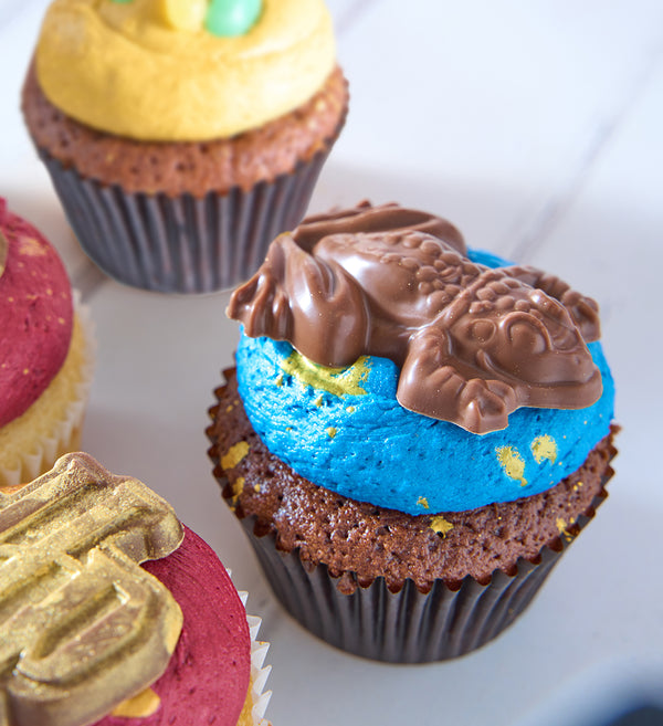 Harry Potter Nationwide Cupcake Box