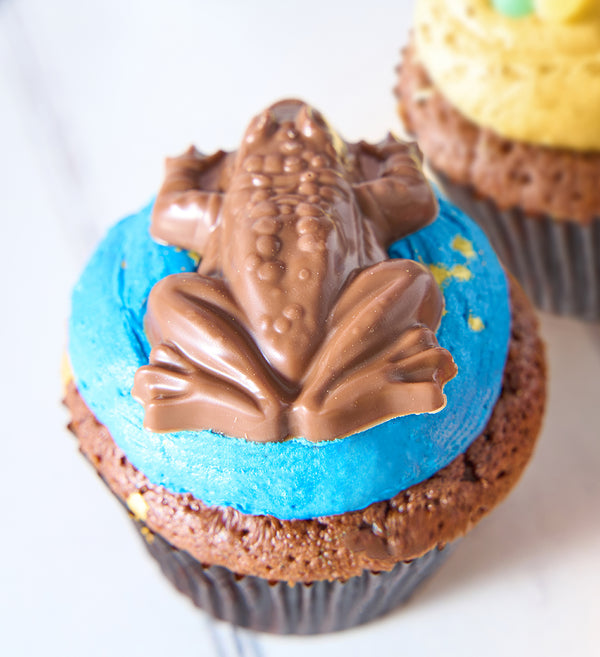 Harry Potter Nationwide Cupcake Box