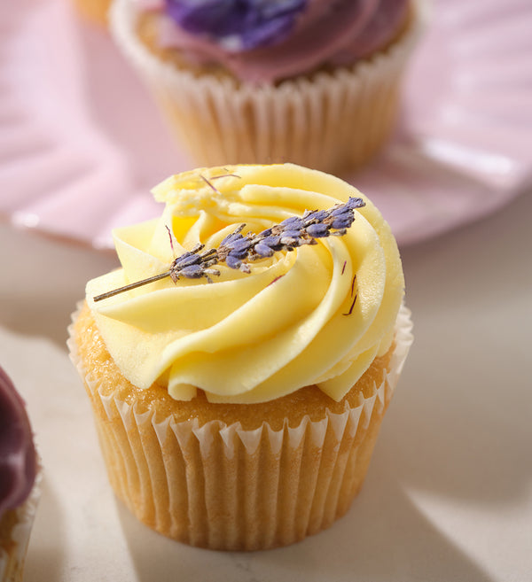 Spring Cupcake Box