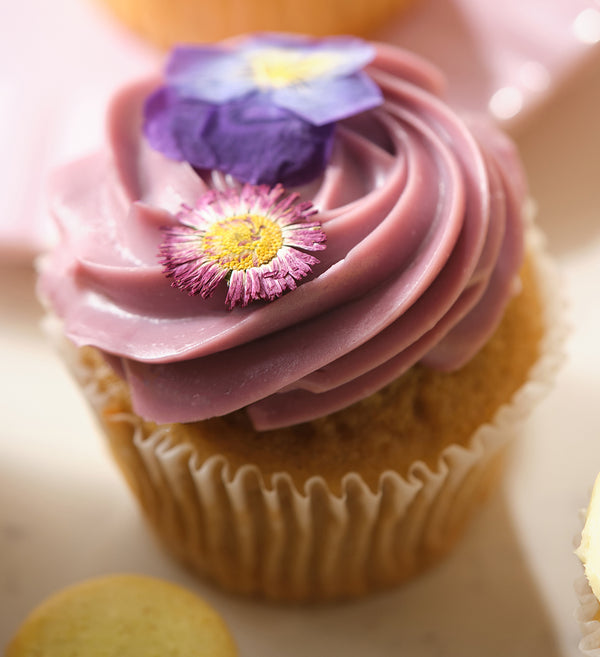 Spring Cupcake Box