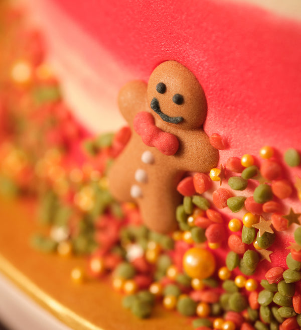 Christmas Wreath Cake