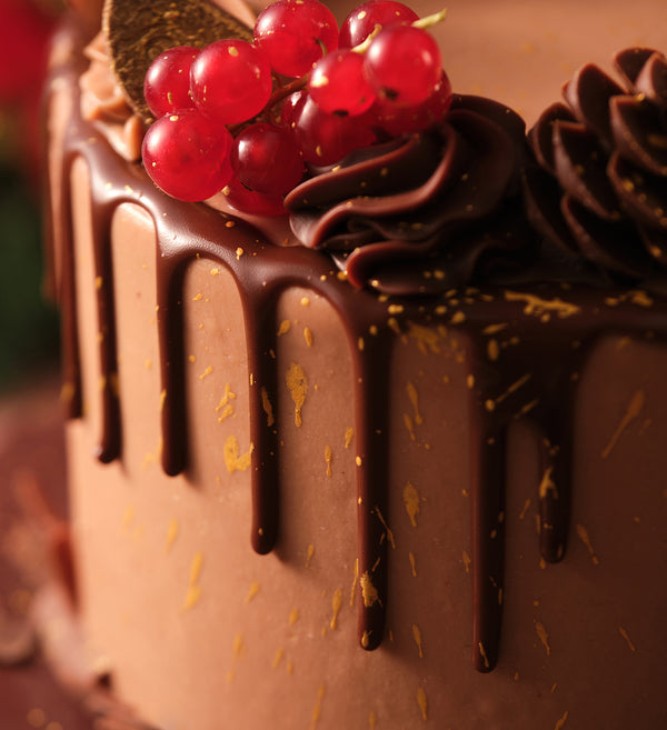 Christmas Chocolate Orange Cake