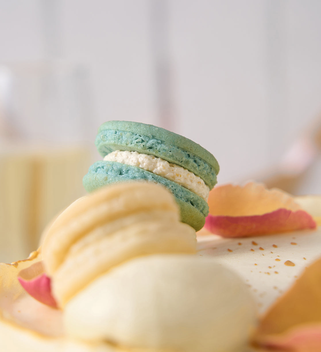 Pastel Macaron Sage Cake