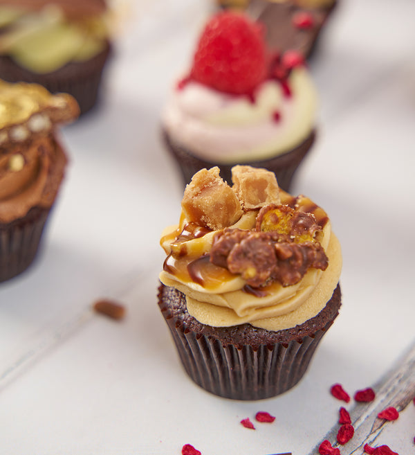 Chocolate Lovers Mini Cupcake Box