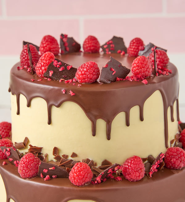 Two Tier Chocolate and Raspberry Cake