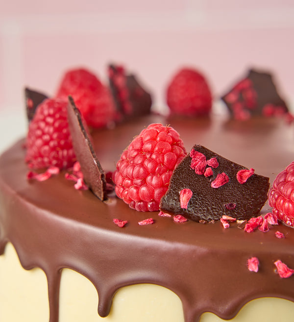 Two Tier Chocolate and Raspberry Cake