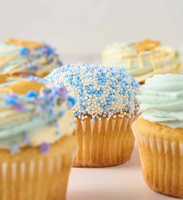 Blue Cupcake Box