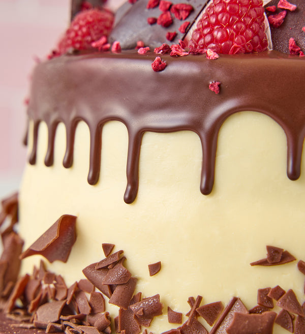 Chocolate and Raspberry Cake