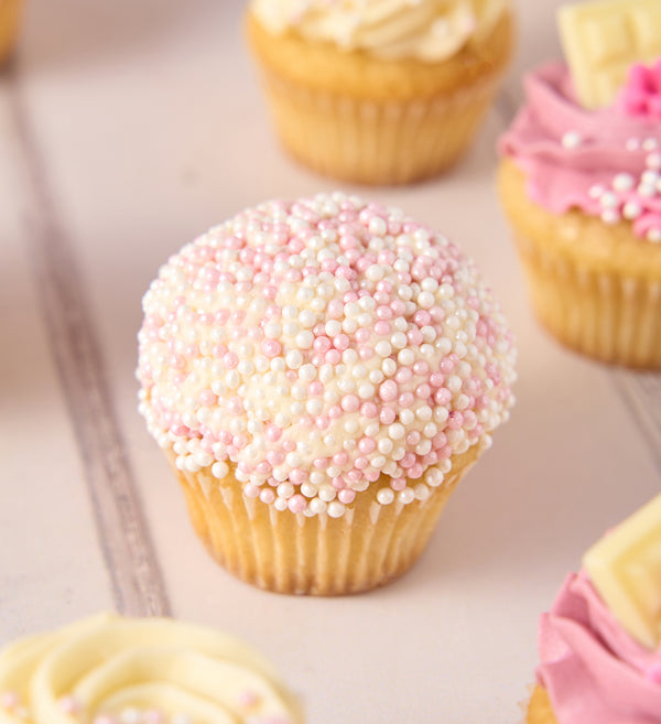 Pink Mini Cupcake Box