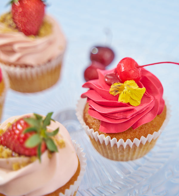 Very Berry Summer Cupcake Box