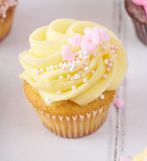 Pink Mini Cupcake Box