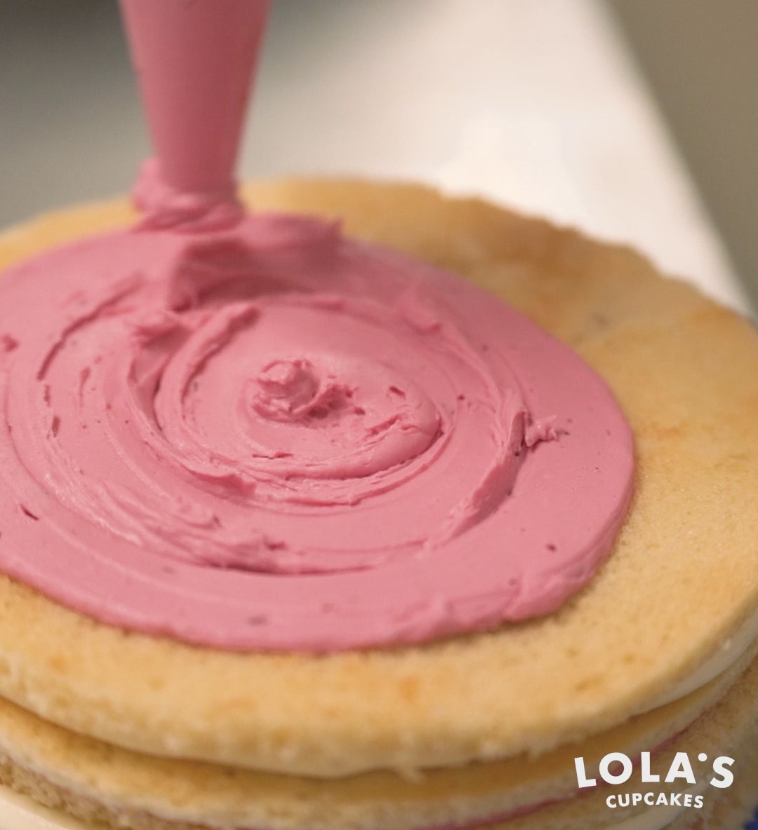 Mixed Berry Opera Cake