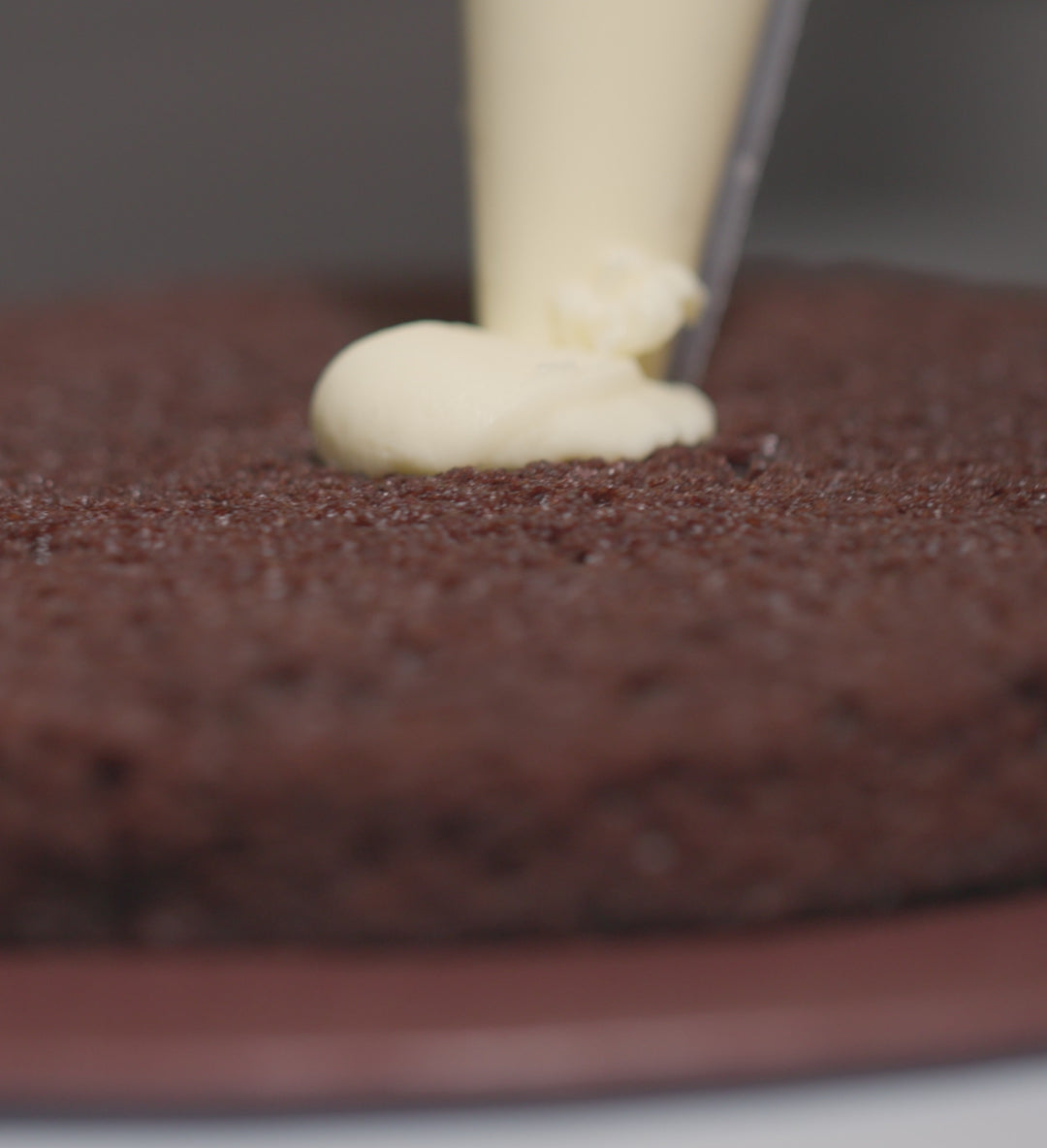 Gluten Free Chocolate and Raspberry Cake